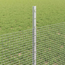 Svejsede trådhegn med stolper 100 x 0,5 m Galvaniseret stål