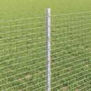 Svejsede trådhegn med stolper 100 x 0,6 m Galvaniseret stål