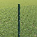 Sekskantet hegn med stolpe 100 x 0,8 m PVC-belagt stål Grøn
