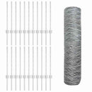 Sekskantet hegn med stolpe 50 x 0,6 m Galvaniseret stål Sølv