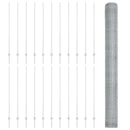 Sekskantet hegn med stolpe 50 x 1,6 m Galvaniseret stål Sølv