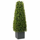 Eukalyptus Græs Tårn Grøn 27 x 27 x 90 cm Plastik