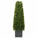Eukalyptus Græs Tårn Grøn 27 x 27 x 90 cm Plastik