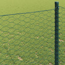 Hexagon Hegn Grøn 0,6 x 10 m PVC