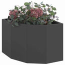 Hjørne Plantekasse Sort 45 x 45 x 35 cm Stål