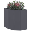 Hjørne Plantekasse Antracit 30 x 30 x 35 cm Stål