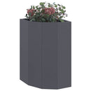 Hjørne Plantekasse Antracit 30 x 30 x 50 cm Stål