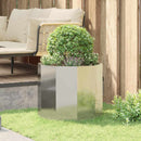 Plantekasse Sølv 60 x 60 x 50 cm Galvaniseret stål