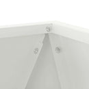 Plantekasse 2 pcs Hvid 30 x 30 x 30 cm Stål