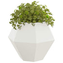 Plantekasse Hvid 100 x 100 x 80 cm Stål