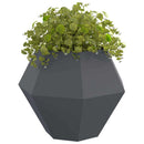 Plantekasse 2 pcs Antracit 100 x 100 x 80 cm Stål