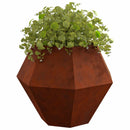 Plantekasse 2 pcs Rusten 100 x 100 x 80 cm Cortenstål