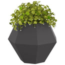 Plantekasse 2 pcs Sort 75 x 75 x 60 cm Stål