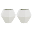 Plantekasse 2 pcs Hvid 75 x 75 x 60 cm Stål