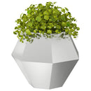 Plantekasse 2 stk. Sølv 75 x 75 x 60 cm Galvaniseret stål - Xlshop.dk