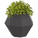 Plantekasse 2 pcs Sort 50 x 50 x 40 cm Stål