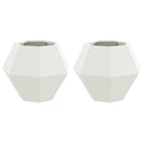 Plantekasse 2 pcs Hvid 50 x 50 x 40 cm Stål