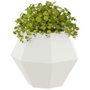 Plantekasse 2 pcs Hvid 50 x 50 x 40 cm Stål