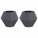 Plantekasse 2 pcs Antracit 50 x 50 x 40 cm Stål
