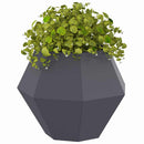 Plantekasse 2 pcs Antracit 50 x 50 x 40 cm Stål