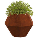 Plantekasse 2 pcs Rusten 50 x 50 x 40 cm Cortenstål