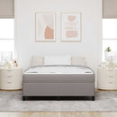 Box spring seng Gråbrun 160 x 200 cm Stof
