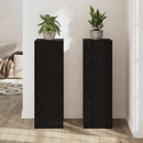 Planteholder 2 stk. Sort eg 33 x 33 x 100 cm Konstrueret træ