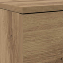 Sko skab Artisan Egetræ 100,5 x 28 x 100 cm Konstrueret træ