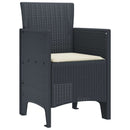 Have Stol med pude 2 pcs Antracit 53 x 49 x 85 cm Polypropylen