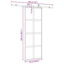 skydedør med hardwaresæt 76x205 cm hærdet glas sort