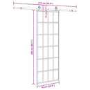 skydedør med hardwaresæt 76x205 cm ESG glas sort