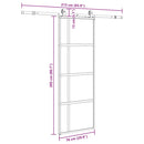skydedør med hardwaresæt 76x205 cm hærdet glas sort