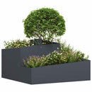 Have Blomsterkrukke Antracit 80 x 80 x 50 cm Koldvalset stål