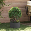 Plante ring Sort 30 x 30 x 20 cm Koldvalset stål