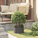 Plante ring 5 pcs Sort 30 x 30 x 20 cm Koldvalset stål