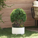 Plante ring 5 pcs Hvid 30 x 30 x 20 cm Koldvalset stål