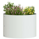 Plante ring 5 pcs Hvid 30 x 30 x 20 cm Koldvalset stål