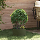 Plante ring Oliven grøn 30 x 30 x 20 cm Koldvalset stål