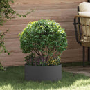 Plante ring Sort 40 x 40 x 20 cm Koldvalset stål