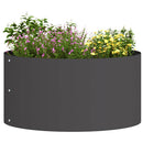 Plante ring Sort 40 x 40 x 20 cm Koldvalset stål