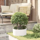 Plante ring 5 pcs Hvid 40 x 40 x 20 cm Koldvalset stål