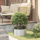 Plante ring 5 stk. Sølv 40 x 40 x 20 cm Galvaniseret stål