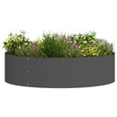 Plante ring Sort 80 x 80 x 20 cm Koldvalset stål