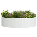 Plante ring 5 pcs Hvid 80 x 80 x 20 cm Koldvalset stål