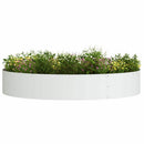 Plante ring 5 pcs Hvid 120 x 120 x 20 cm Koldvalset stål