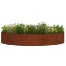 Plante ring 5 stk. Rusten 120 x 120 x 20 cm Cortenstål