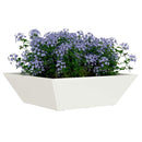 Have Blomsterkrukke 5 pcs Hvid 50 x 50 x 15 cm Koldvalset stål