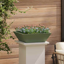 Have Blomsterkrukke 5 pcs Oliven grøn 50 x 50 x 15 cm