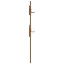 Vægmonteret Jakkeholder Vægmonteret Gammelt træ 65 x 3 x 100 cm