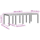 Havemøbel Bord Antracit 250 x 100 x 73 cm polyrattan